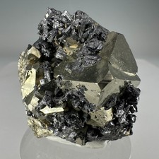 Superb Pyrite & Enargite Crystals: Tramway Mine, Butte, Silver Bow Co., Montana picture