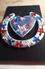 decorated silver horseshoe in the red/white & blue picture