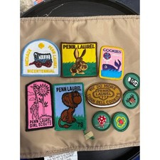 Vintage Girl Scouts Penn Laurel Council Patches 1970s Cookie Bicentennial 10pc picture