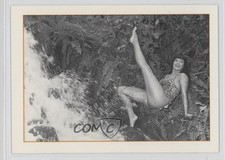 1994 21st Century Archives Bunny Yeager's Bettie Page Bettie Page #29 1k3 picture