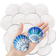 36PCS Natural Scallop Shells for Crafts, 2-3 Inch White Sea Shells for Decora... picture