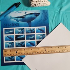 USPS Stamps Sheet of 20 First Class Letter Shark picture