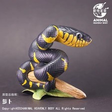 Animal Heavenly Body Mangrove Gold-ringed Cat Sanke Statue Boiga dendrophila mel picture