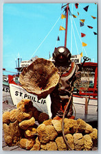 Spong Diver, Tarpon Springs, Florida, Vintage Postcard picture