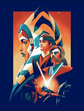 Danny Haas Star Wars “Victory And Defeat” 18x24” exclusive art print picture