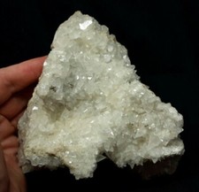 2.5 LB Superb 5