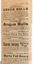 1916 Wallace Farmer Newspaper, Clippings - Farm sales, and Equipment in IOWA picture