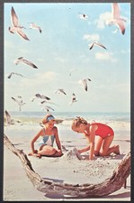 Oregon Beach Postcard Girls Playing in Sand with Seagulls Dexter Press picture