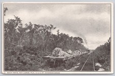 Key Largo Florida FL FEC RR Rock Train Overseas Railway Postcard c1907 picture
