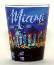 Miami Florida Beach Night Skyline Shot Glass picture
