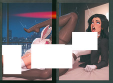 Wet Fantasy Summer Explosion  Zatanna & White Rabbit in the Cat cover Set Puffy picture