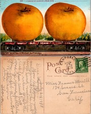 Exaggeration Mammoth Apples on Train Flatcar Campbell California CA Postcard picture