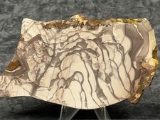 A+ Willow Creek Jasper Slab, Lot#924 picture