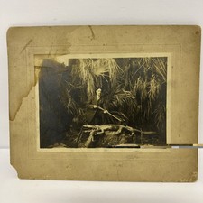 Antique 1915 Distinguished Man Posing With Alligators Photo St. Augustine Fl. picture