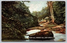 Sylvan Dell Cuyahoga Falls Akron Ohio Postcard 1907 Rotograph picture