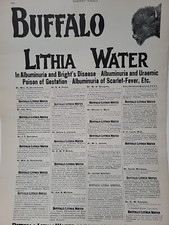 1899 Buffalo Lithia Water Print Advertisement Harper's Weekly Quack Medicine picture