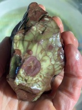 Spiderweb Jasper 4.25oz Rough Chunk Mexico (SJ3096) picture
