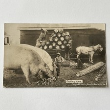 Antique RPPC Real Exaggerated Photograph Postcard Giant Pig Hog Corn Farm Odd picture