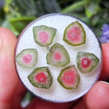Watermelon Tourmaline Crystal Slice, Natural Polished Specimen (5 to 10mm) picture