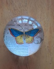 Rare Vintage H.P. Deco France John Derian Blue Underwing Moth Glass Paperweight picture