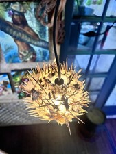 NEW 5”-6” Pufferfish Lamp w/soft White LED Tiki bar Smokin Tikis Oceanic picture