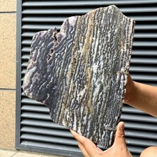 5.5 lb  Black White Stripe Polished Zebra Stone Slice Natural Crystal Specimen picture