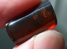 Beautiful Cherry RED Burmese Amber Fossil with Insects from Dinosaur Age picture