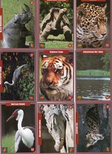 1992 Endangered Animals Complete Set Of Trading Cards  50 Cards RARE MINT picture