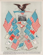 Vintage United States Flag Poster Print 1901 picture