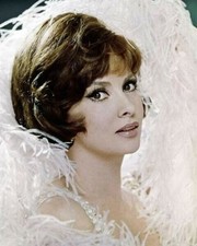 Gina Lollobrigida beautiful portrait for Come September 8x10 inch photo picture