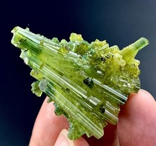 118 Carat Green Bunch Of Tourmaline Crystal Specimen From Afghanistan picture