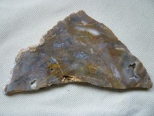 Sumatra Flame Agate Specimen, Faced slab both sides 7.2 ounces picture