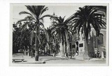 20 AJACCIO Avenue Du Premier Consul picture