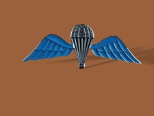 BRITISH MILITARY JUMP WINGS BADGE 2 7/8