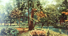 1908 ELMWOOD PARK OMAHA NEBRASKA POSTCARD POSTED PHOTO LITHO TINTED FLOWERS picture