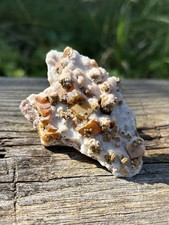 Natural Wulfenite Specimen- Vibrant 2.5” Orange Wulfenite In Calcite Cluster picture