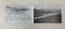 Vintage LAGUNA BEACH California Postcard Tent City 1920 Soft Drink Stand Rare picture