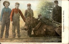 Publ in Scranton Child Coal Mine Workers CHILD LABOR c1900s-10s  Postcard picture