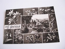 Belluno - Greetings from Caviola - Falcade - not shipped f. g. draft photog picture