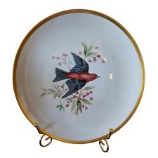 Hutschenreuther Selb Bavaria Audubon Scarlet Tanager Bird Plate Gold Rim Germany picture