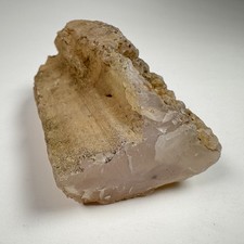 Paulina Oregon Agatized Limb Cast Fortification Agate Quartz 3” 6oz Display picture