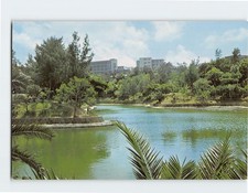 Postcard Ryukyu University Nishihara Japan picture