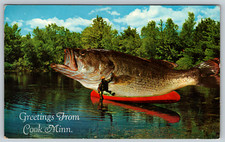 c1950s Greetings From Cook Minnesotag Exagerration Fishing Vintage Postcard picture