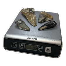 BULK MEGALODON TOOTH SHARDS AND FRAGMENTS 1/4, 1/2, And 3/4 Teeth By The Pound picture