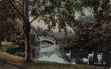 Victoria BC British Columbia Beacon Hill Park Stone Bridge Swans Vtg Postcard 1A picture