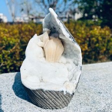 2.86LB Healing of natural calcite crystal specimens 1300g picture