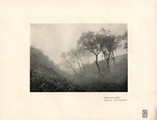 FRANK MEADOW SUTCLIFFE - Brouillard, Original 1903 Full Plate Halftone picture