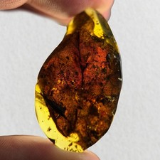 STUNNING LEAF inclusion in Burmese / Burmite amber fossil / 100% genuine  picture