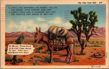 Vintage Linen Postcard Ten Feet From Hell Desert Burro Joshua Tree 1947 picture