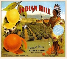 Indian Hill Brand Orange Pomona California Citrus Fruit Crate Label Art Print picture